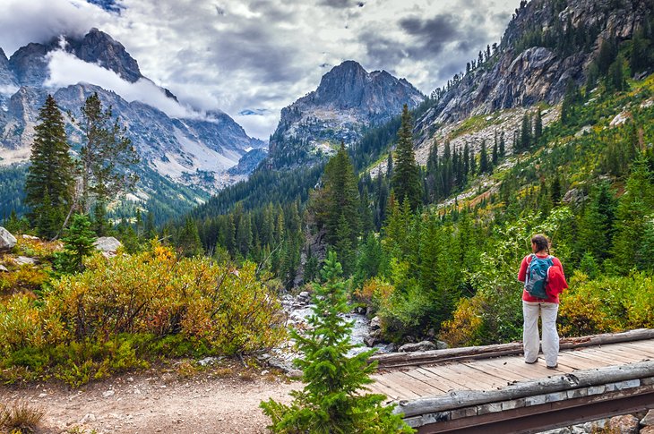 jackson hole trails