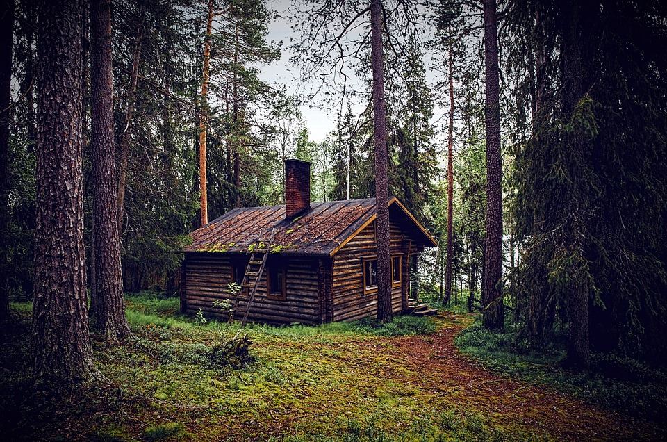 Fascinating Events Of Log Cabin History | Zook Cabins