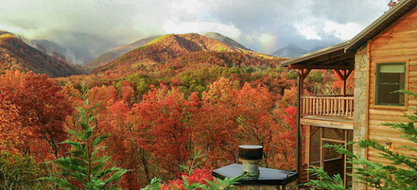 Beautiful Cabin worth buying in the mountains